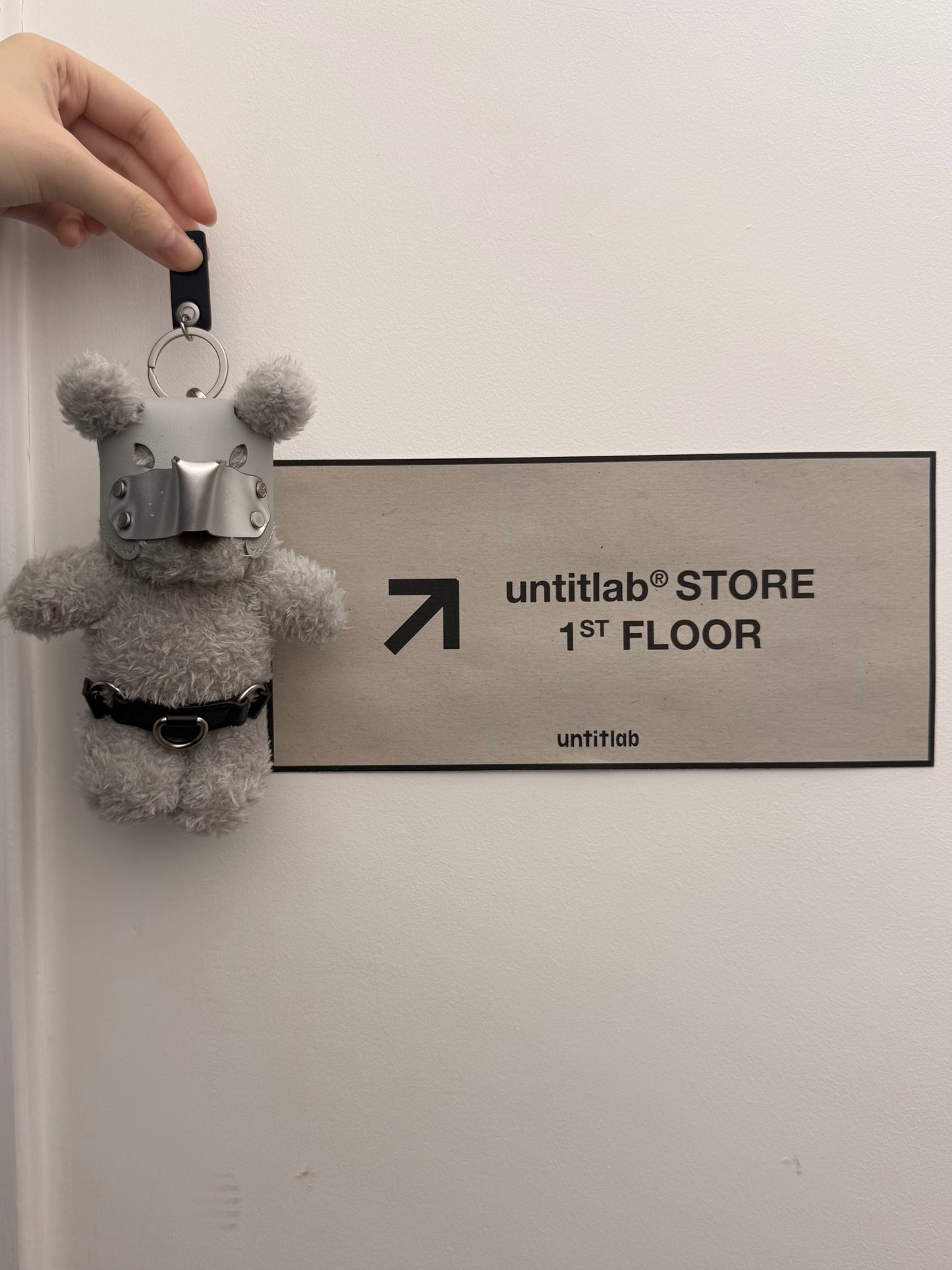 POWER PUPPY PLUSH Keyring (Sliver)